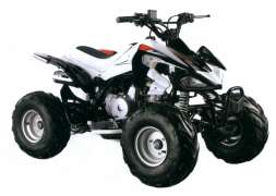 Квадроцикл Motoland ATV 110S